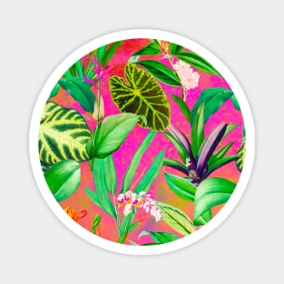 Stylish Tropical floral leaves and foliage botanical illustration, botanical pattern, tropical plants, pink orange leaves pattern over a Magnet